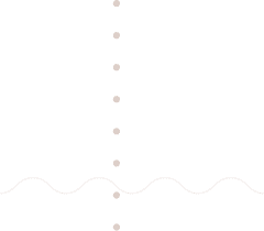 الرئيسية 20 shape 7