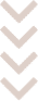 الرئيسية 3 shape4