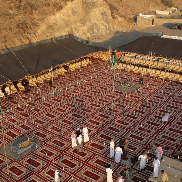 لقطة الشاشة 100